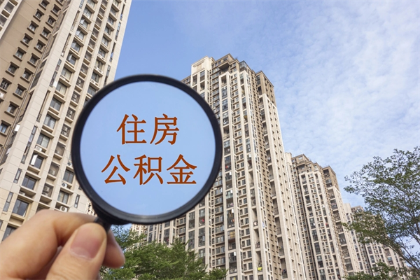 淇县辞职多久公积金可以全部取出来吗（辞职之后公积金多长时间可以取）